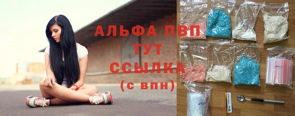 PSILOCYBIN Каменка