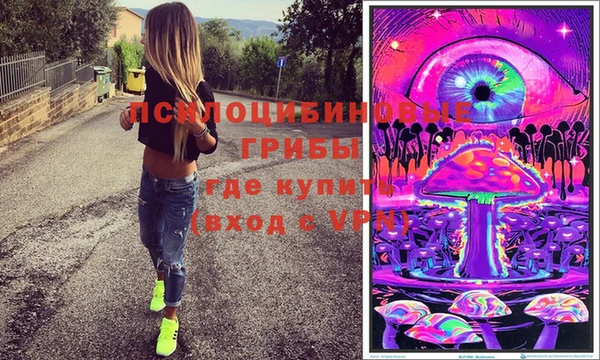 PSILOCYBIN Каменка