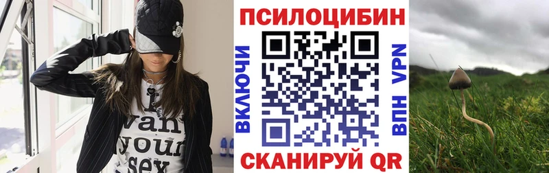 кракен ссылки  сколько стоит  Клинцы  Псилоцибиновые грибы Magic Shrooms 